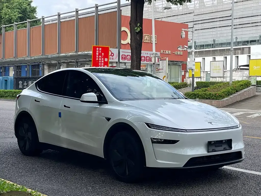 Tesla Model Y — фото 9