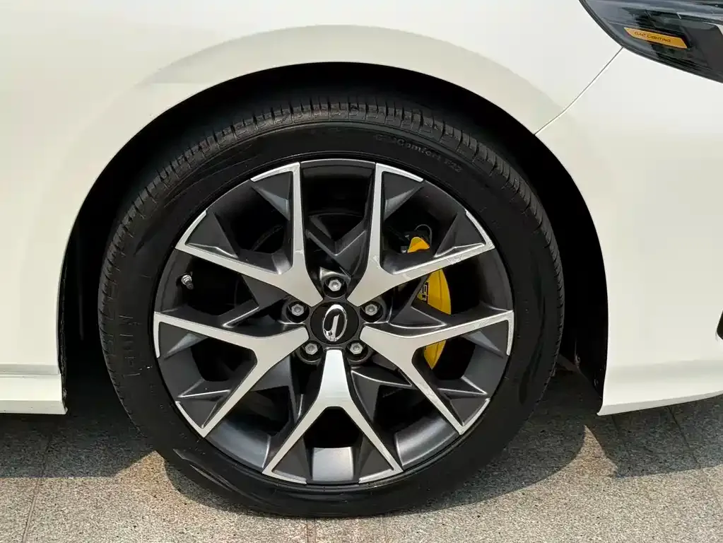 GAC Motor Shadow Leopard — фото 5
