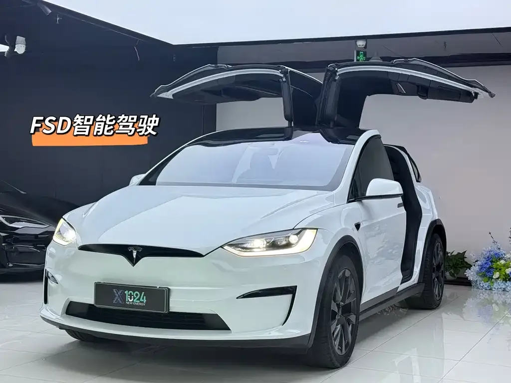 Tesla Model X — фото 1