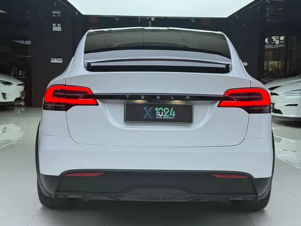 Tesla Model X — фото 8