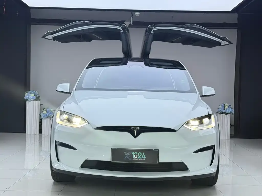 Tesla Model X — фото 7