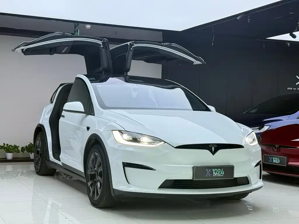 Tesla Model X — фото 5