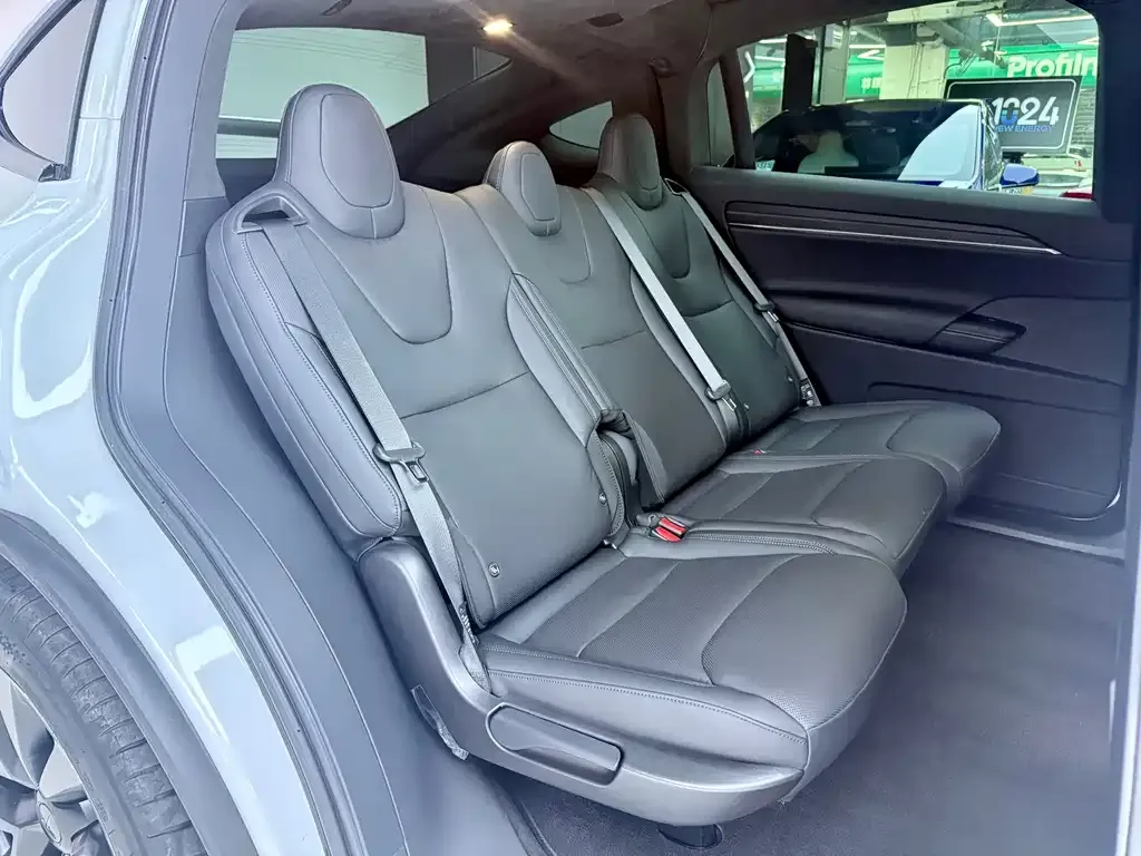 Tesla Model X — фото 10