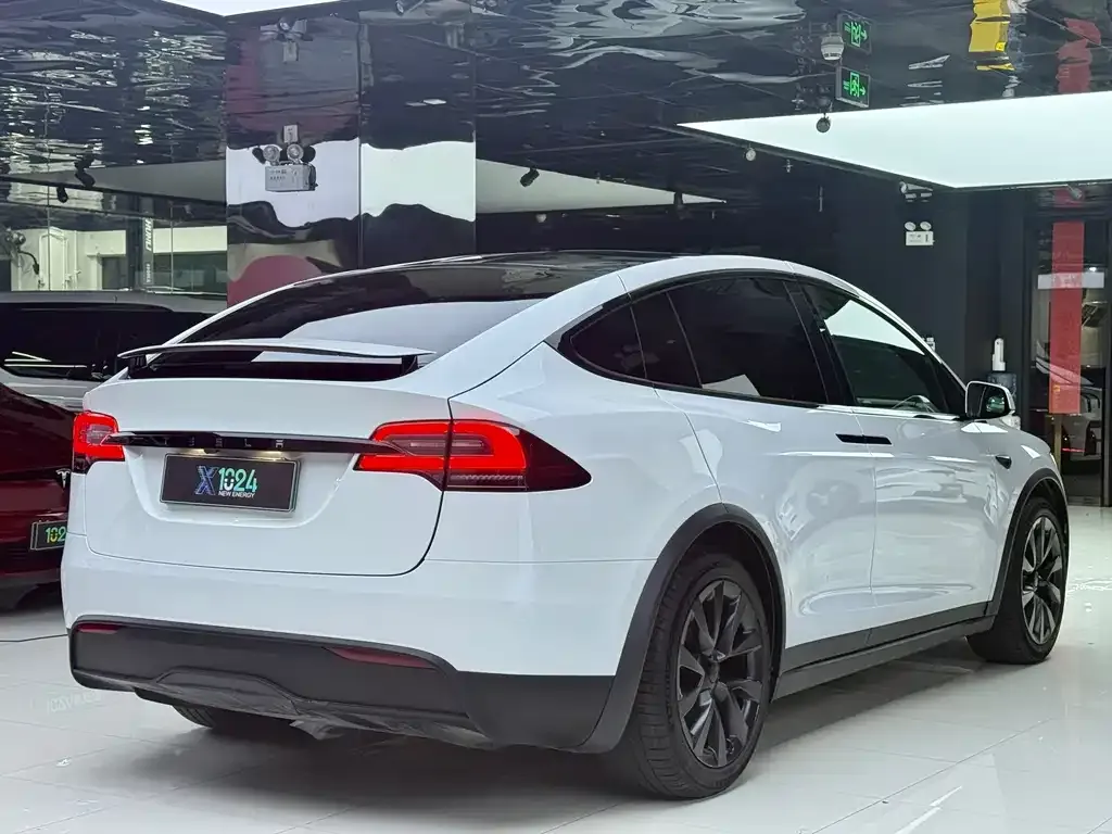 Tesla Model X — фото 6