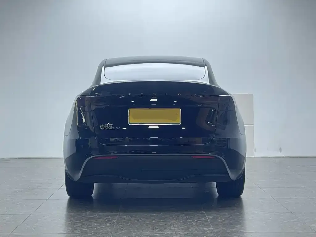 Tesla Model Y — фото 5