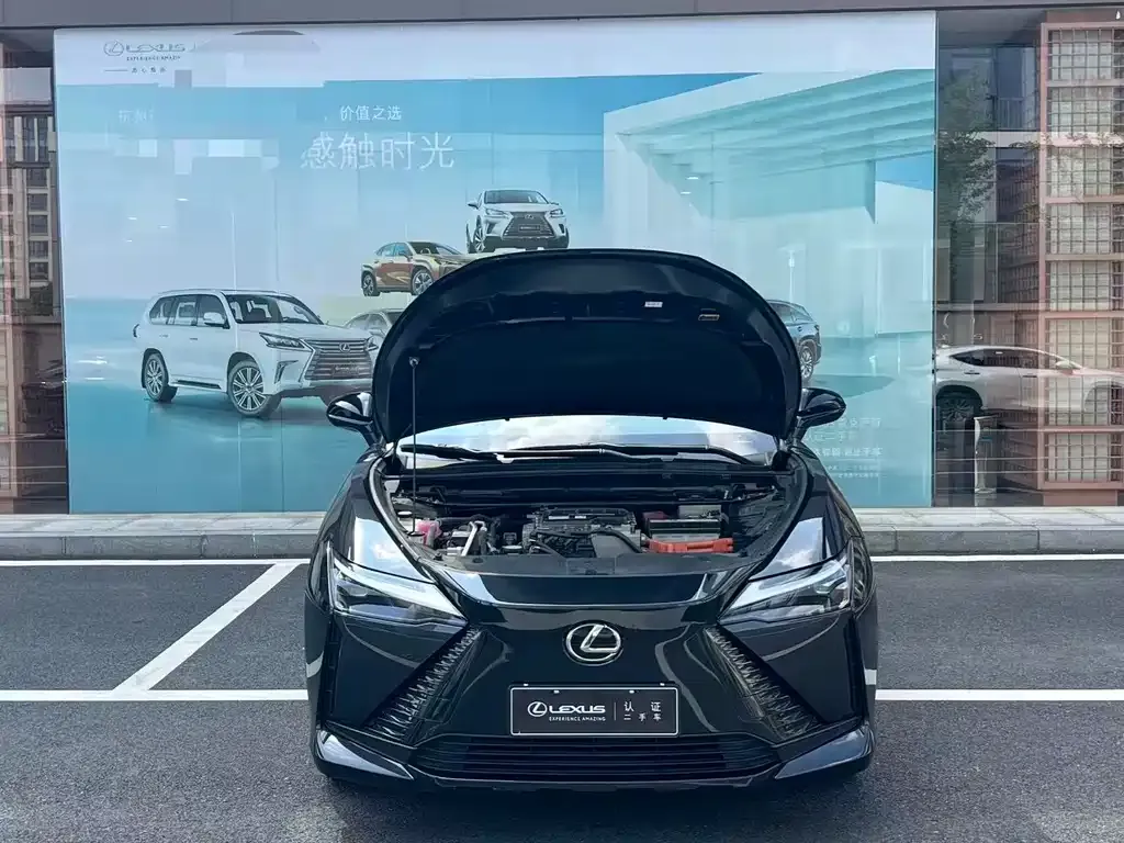 Lexus RZ — фото 8