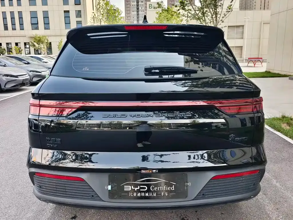 BYD Pro New Energy — фото 10