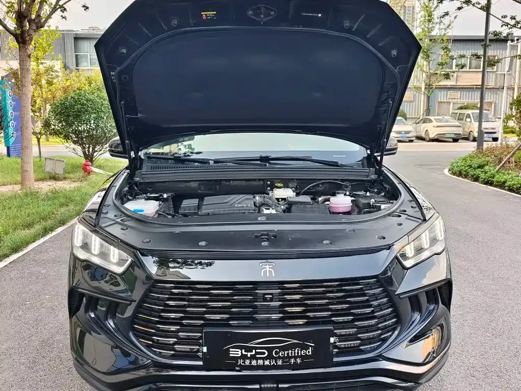 BYD Pro New Energy — фото 9