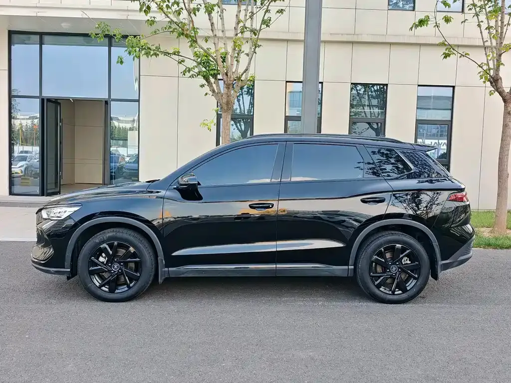 BYD Pro New Energy — фото 8