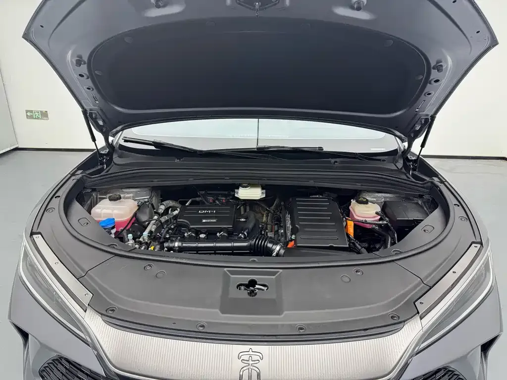 BYD L DM-i — фото 10