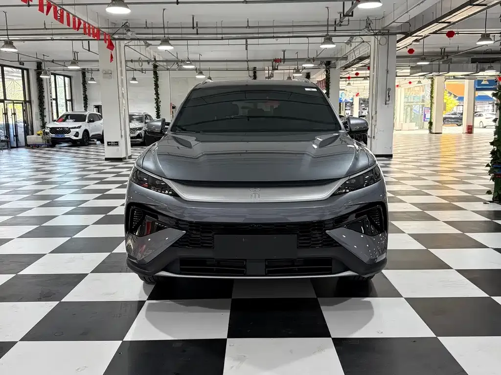 BYD Pro New Energy — фото 4