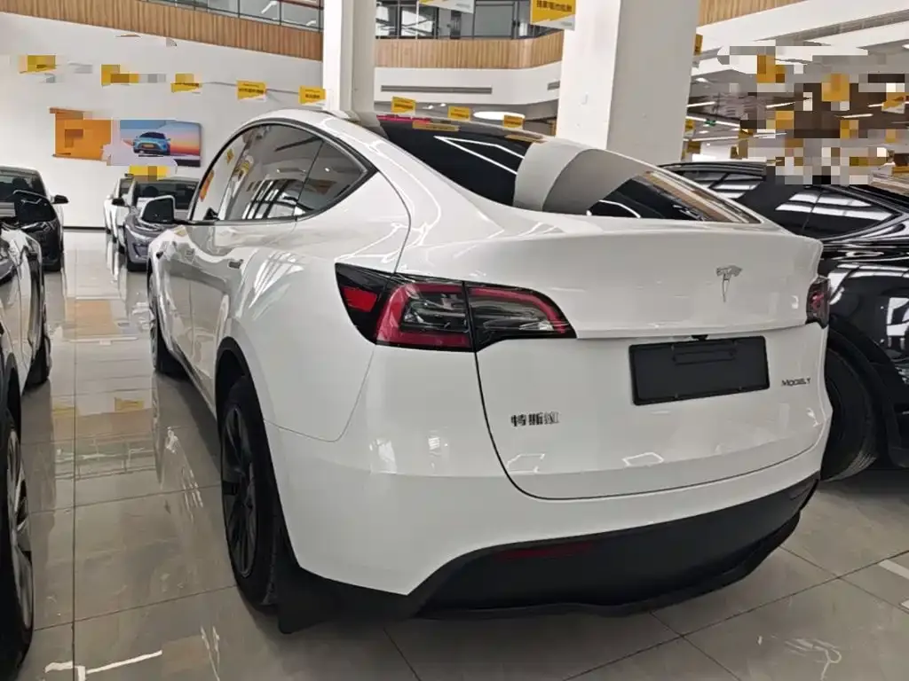 Tesla Model Y — фото 5