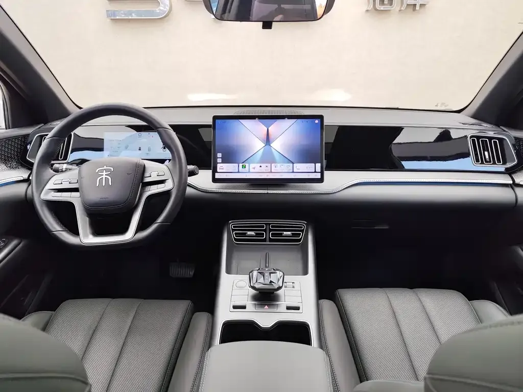 BYD Pro New Energy — фото 6