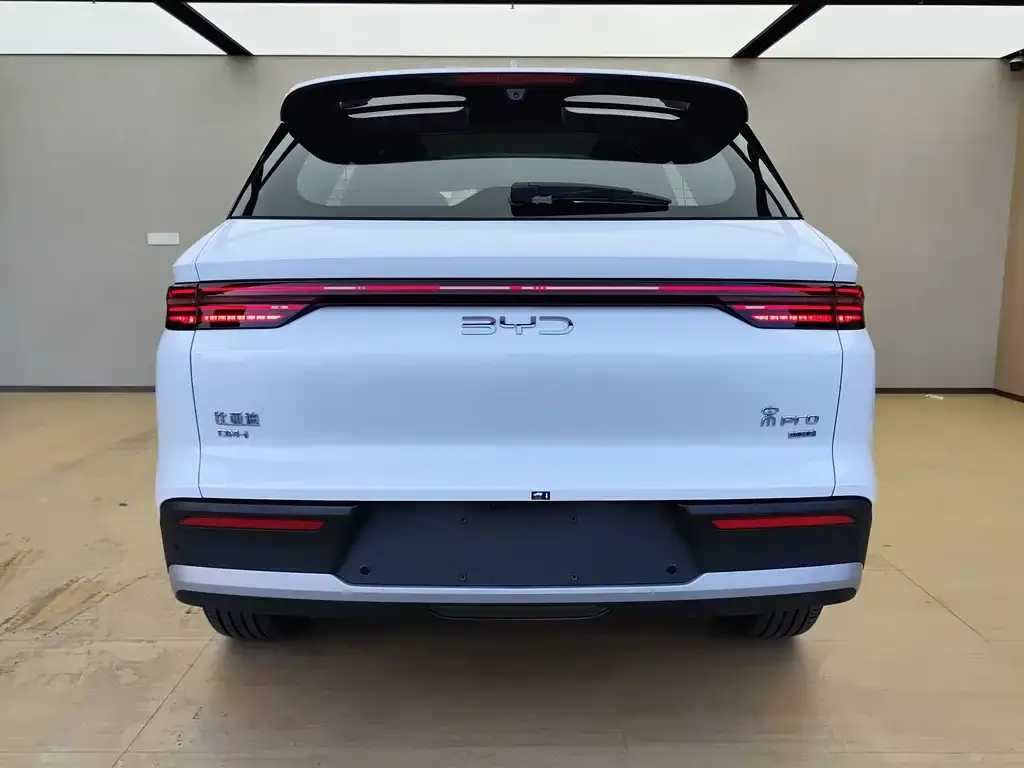 BYD Pro New Energy — фото 3