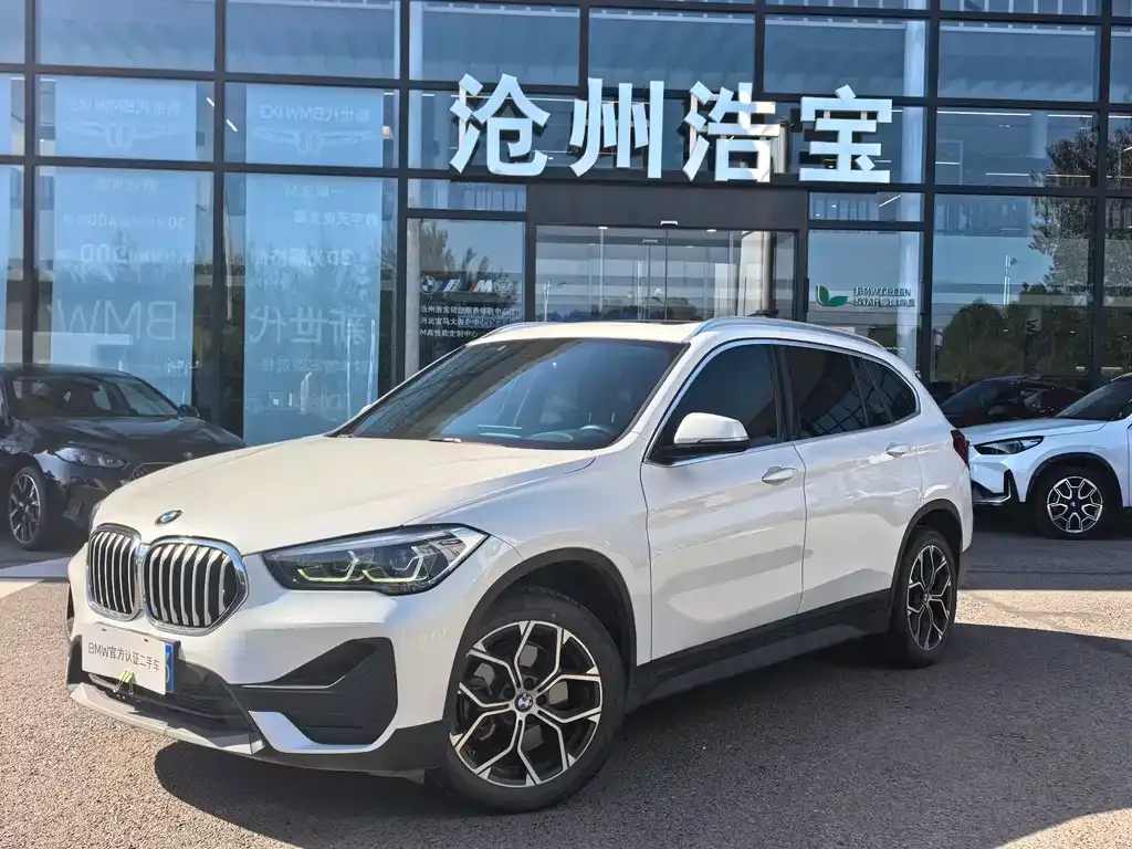 BMW X1 — фото 1