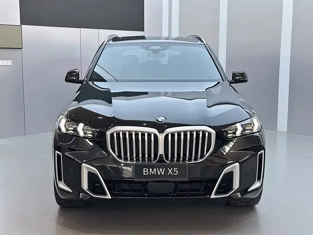 BMW X5 — фото 9