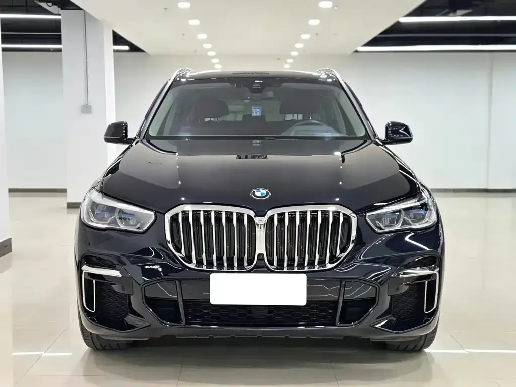 BMW X5 — фото 1