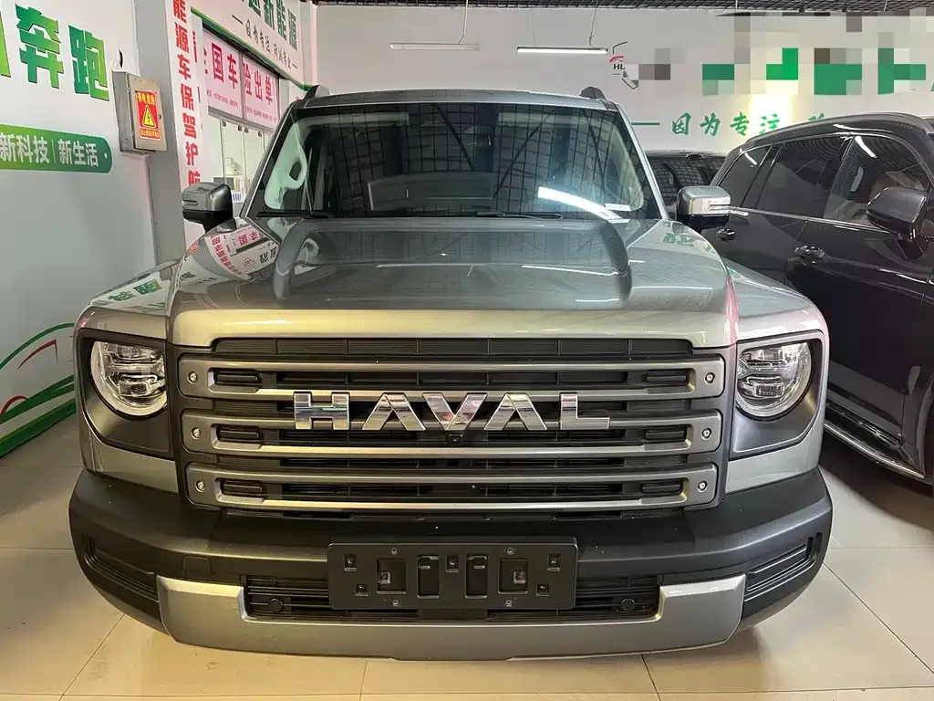 Haval Menglong New Energy — фото 4