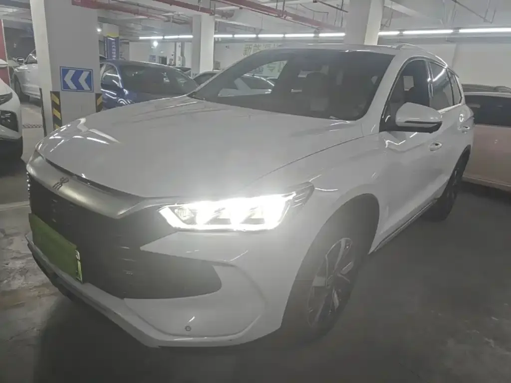 BYD Pro New Energy — фото 10