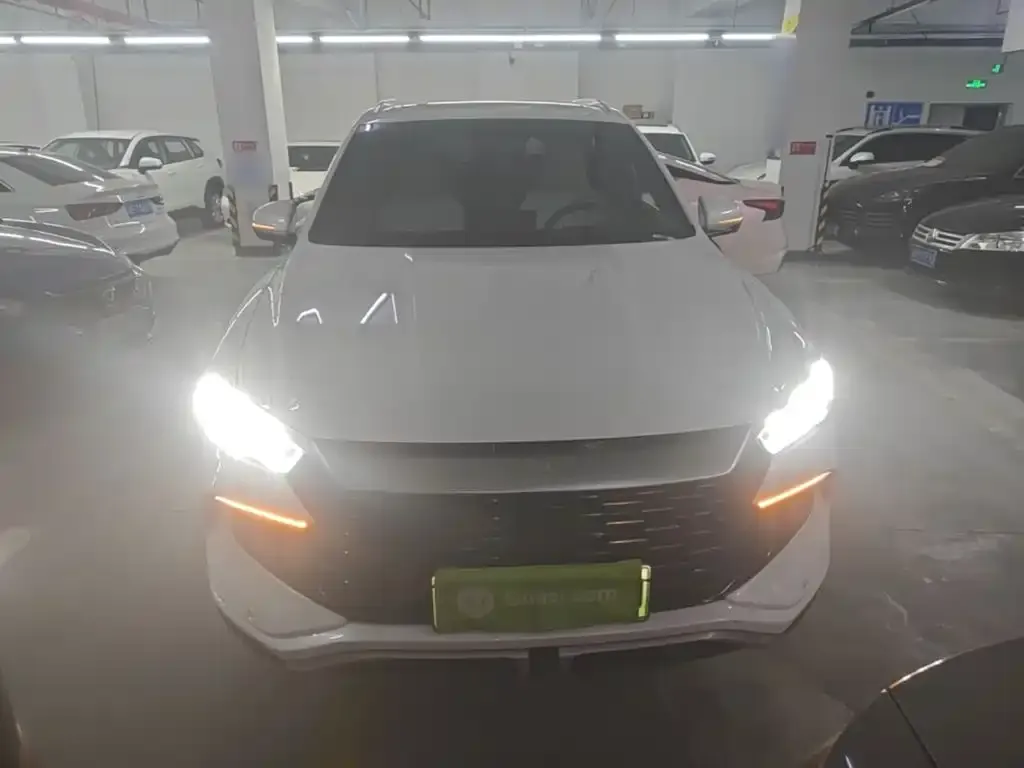 BYD Pro New Energy — фото 4