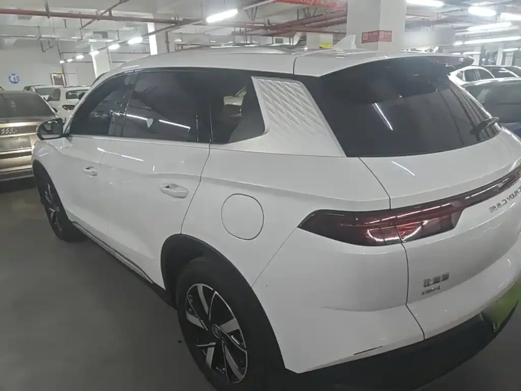 BYD Pro New Energy — фото 6