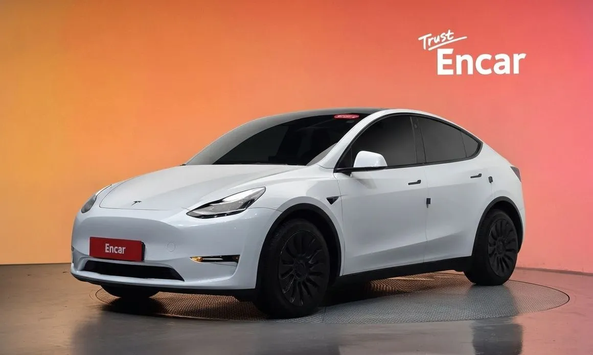 Tesla Model Y — фото 1