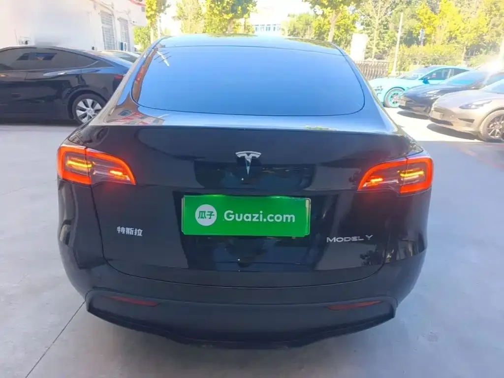 Tesla Model Y — фото 5