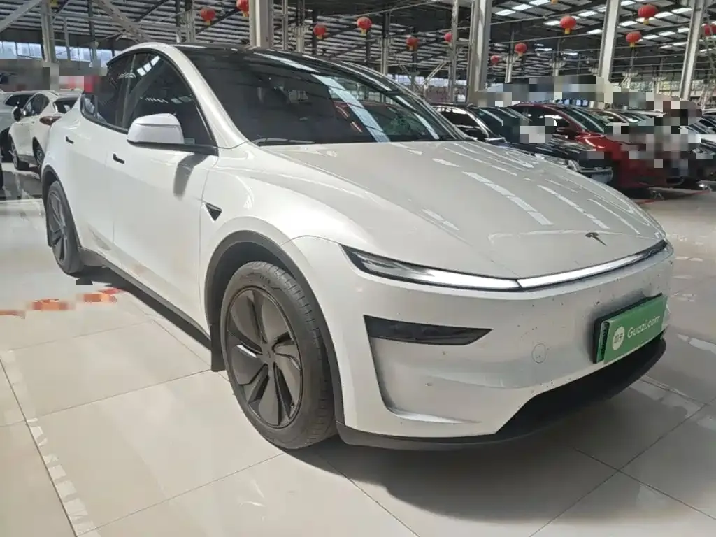 Tesla Model Y — фото 9
