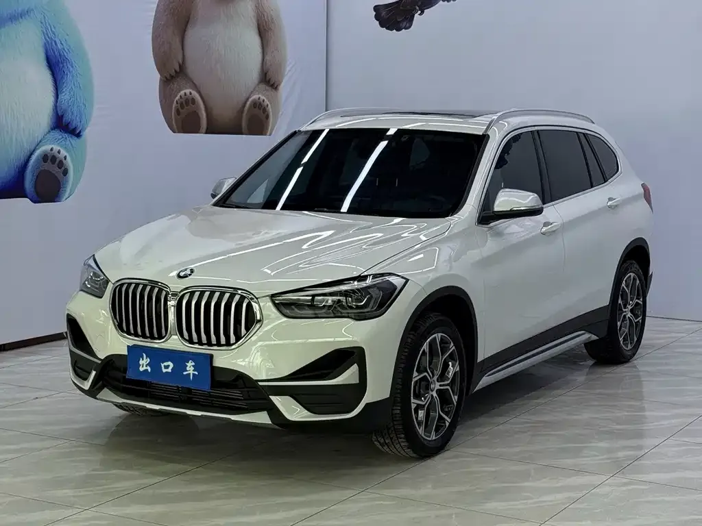 BMW X1 — фото 1
