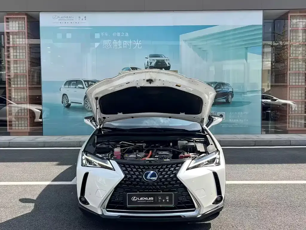 Lexus UX New Energy — фото 9