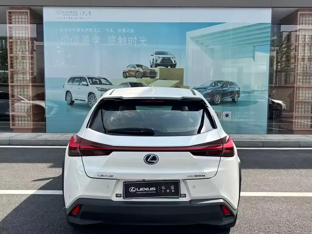 Lexus UX New Energy — фото 10
