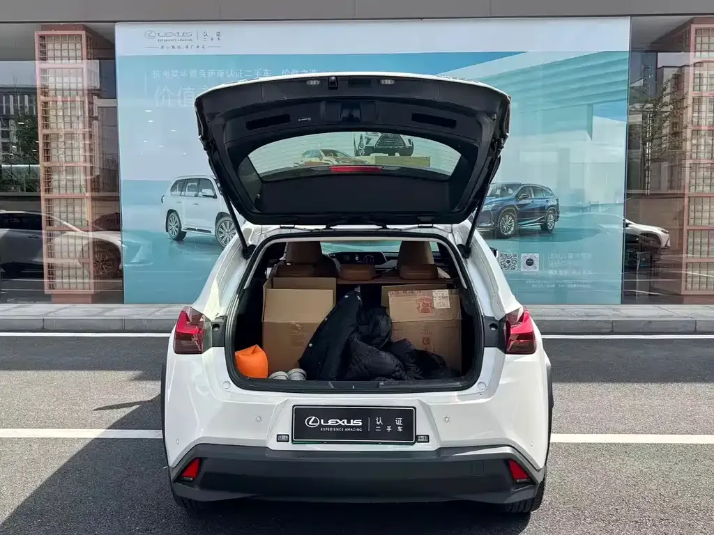Lexus UX New Energy — фото 3