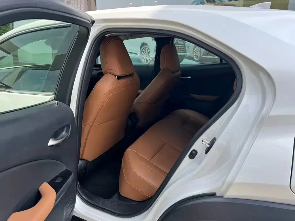 Lexus UX New Energy — фото 8