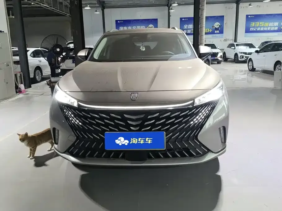 Roewe RX5 New Energy — фото 10