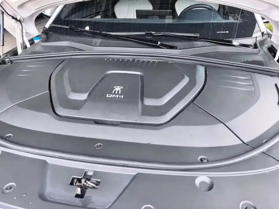 BYD PLUS New Energy — фото 2