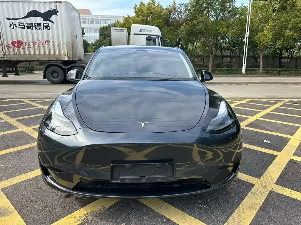 Tesla Model Y — фото 5