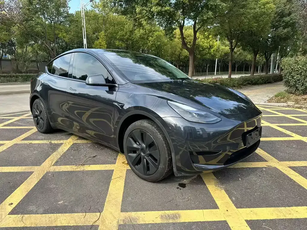 Tesla Model Y — фото 8