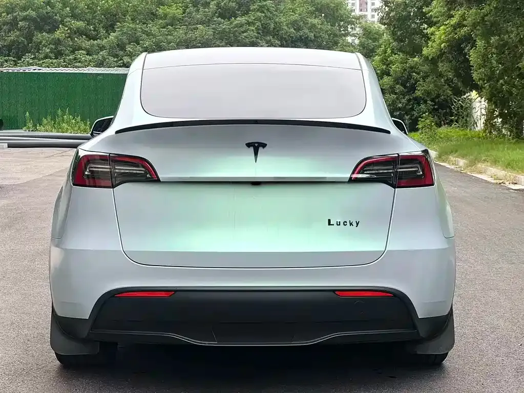 Tesla Model Y — фото 8