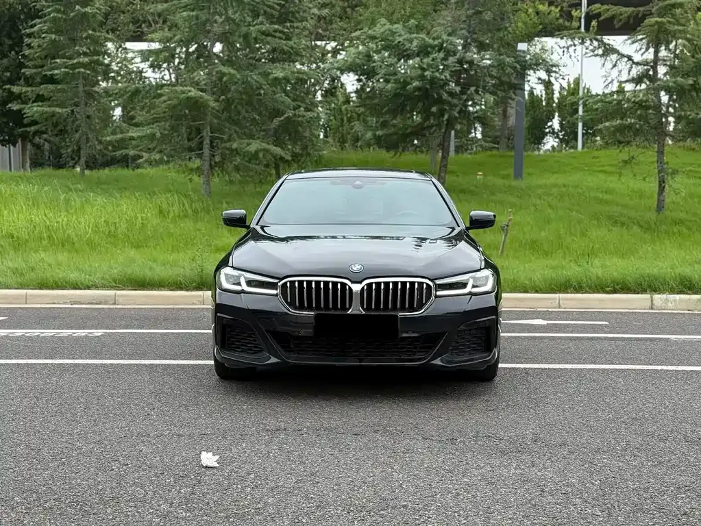 BMW 5 Series New Energy — фото 6