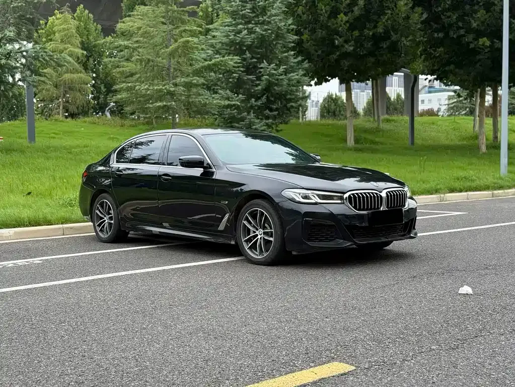 BMW 5 Series New Energy — фото 8