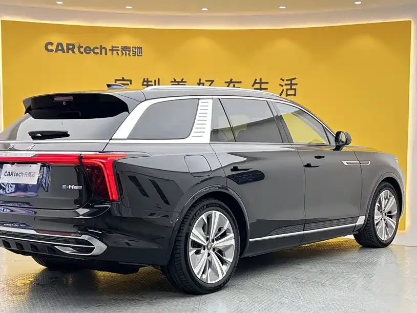 Hongqi E-HS9 — фото 3