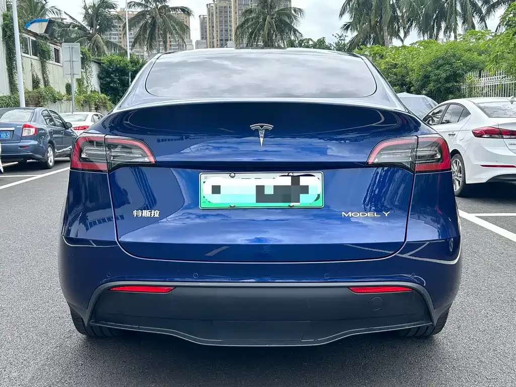 Tesla Model Y — фото 3