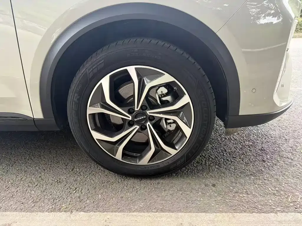 Haval Xiaolong MAX — фото 10