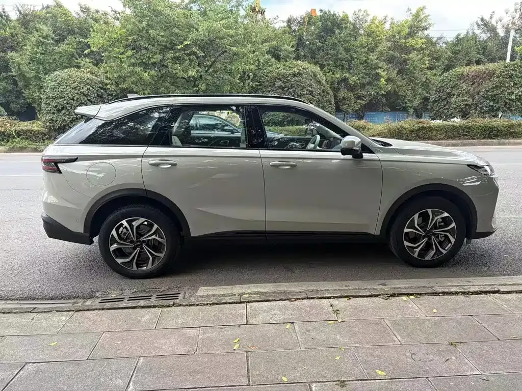 Haval Xiaolong MAX — фото 9