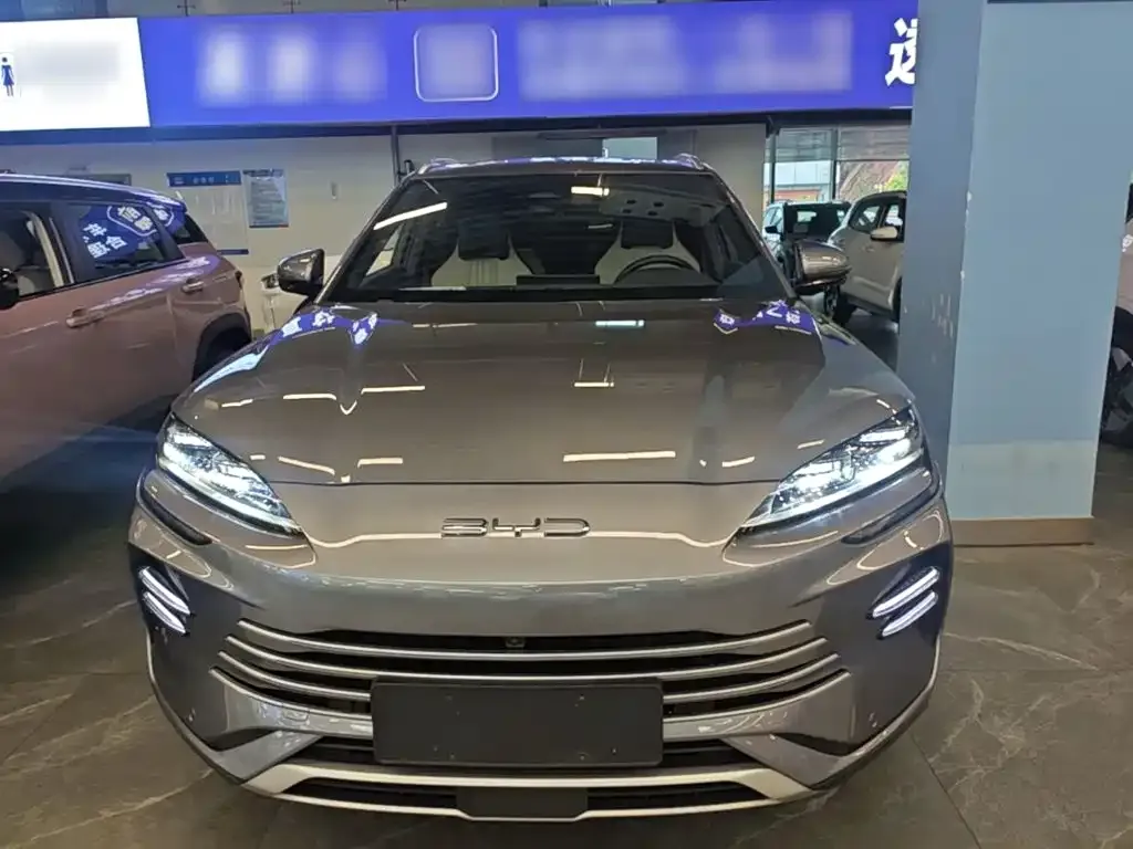BYD PLUS New Energy — фото 4