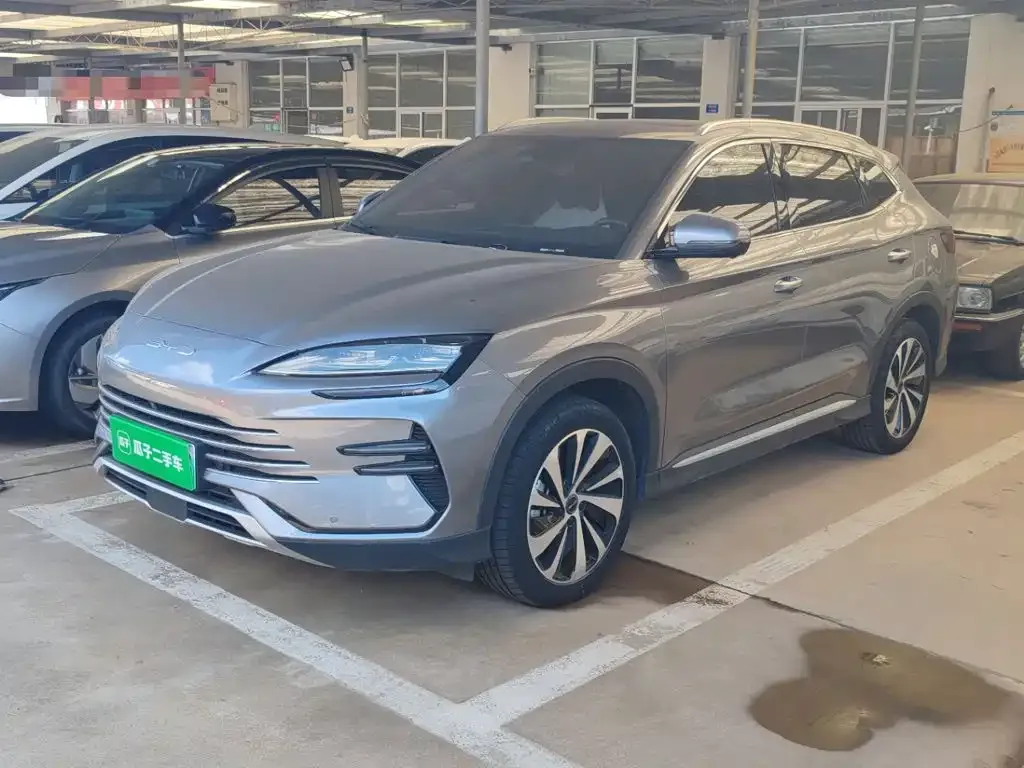 BYD PLUS New Energy — фото 7