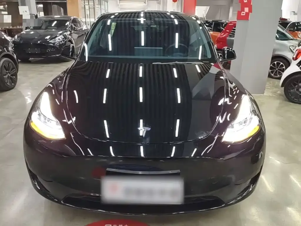 Tesla Model Y — фото 7