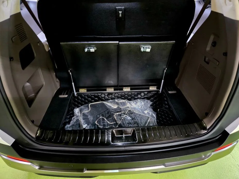 Kia Carnival — фото 10
