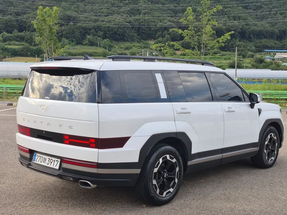 Hyundai Santafe — фото 10