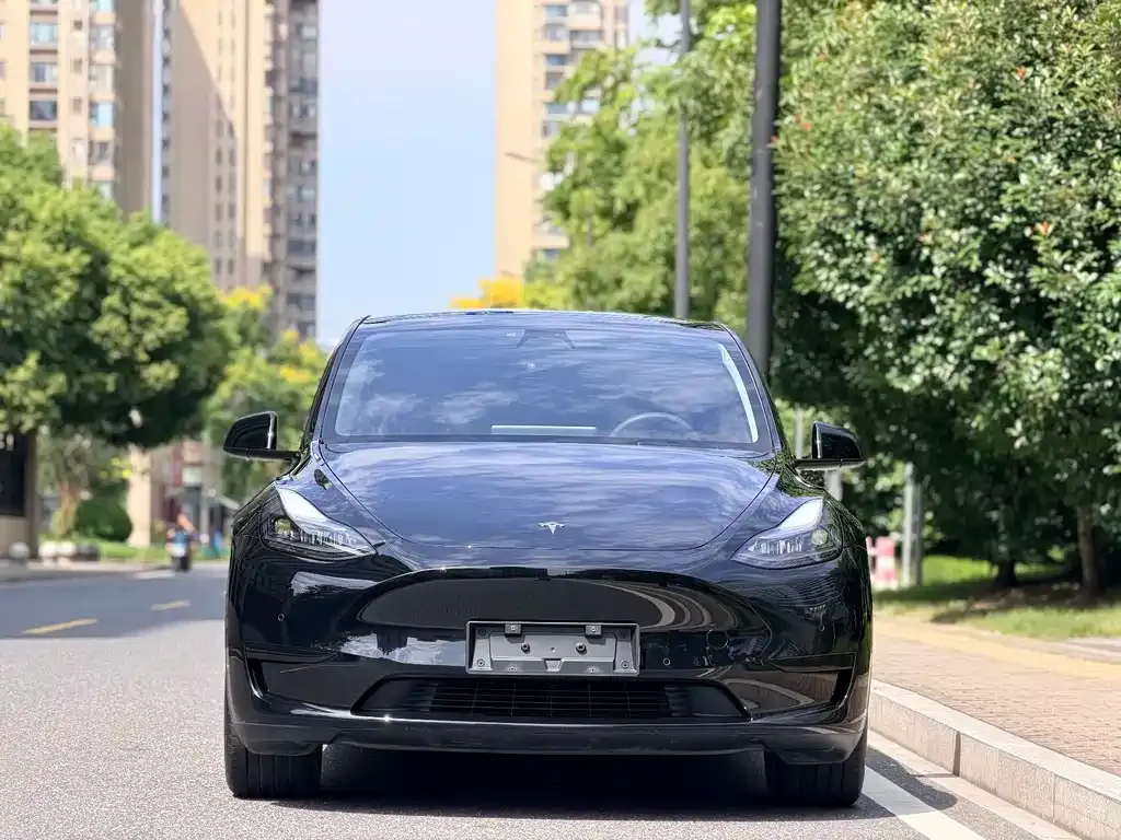 Tesla Model Y — фото 6